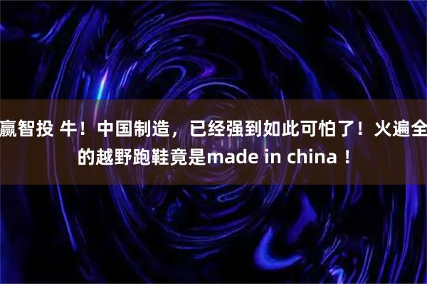 鑫赢智投 牛！中国制造，已经强到如此可怕了！火遍全球的越野跑鞋竟是made in china ！
